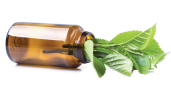 product image.